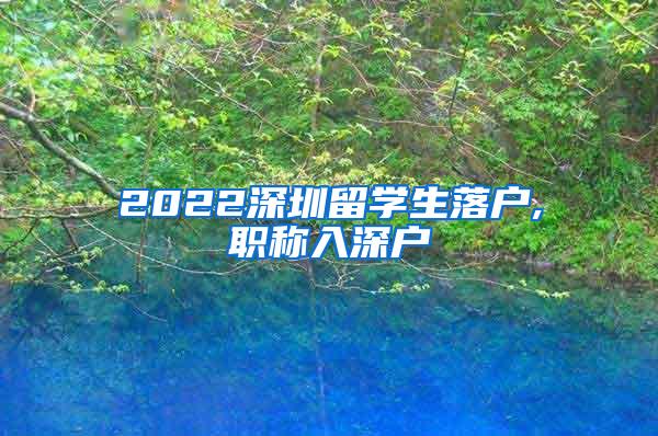 2022深圳留学生落户,职称入深户