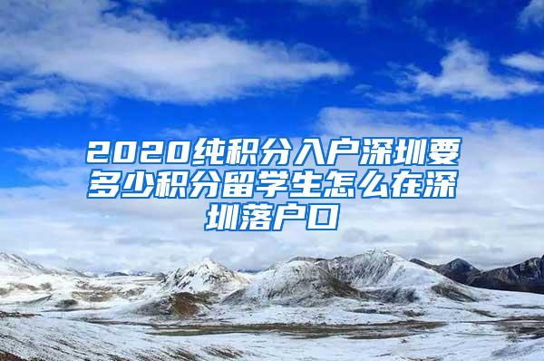 2020纯积分入户深圳要多少积分留学生怎么在深圳落户口