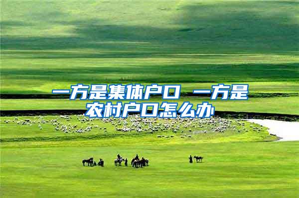一方是集体户口 一方是农村户口怎么办