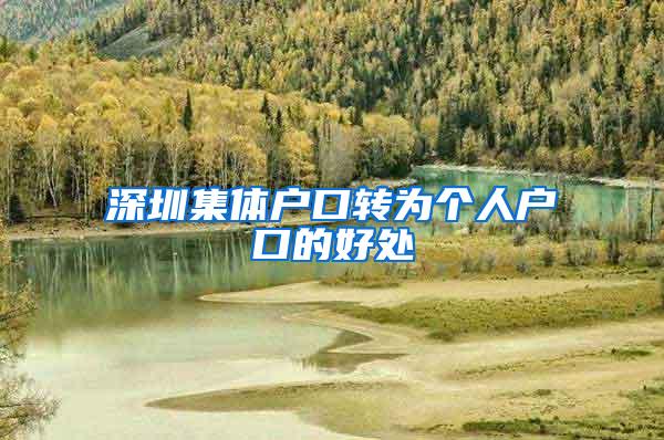 深圳集体户口转为个人户口的好处