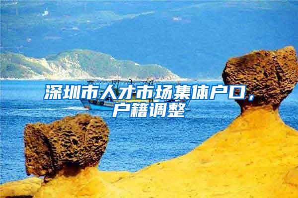 深圳市人才市场集体户口，户籍调整