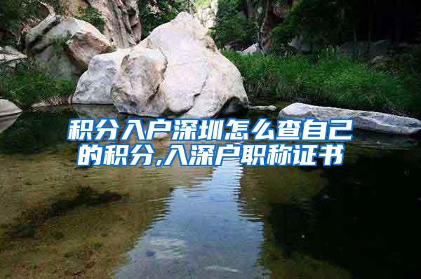 积分入户深圳怎么查自己的积分,入深户职称证书