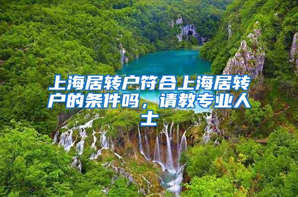 上海居转户符合上海居转户的条件吗，请教专业人士