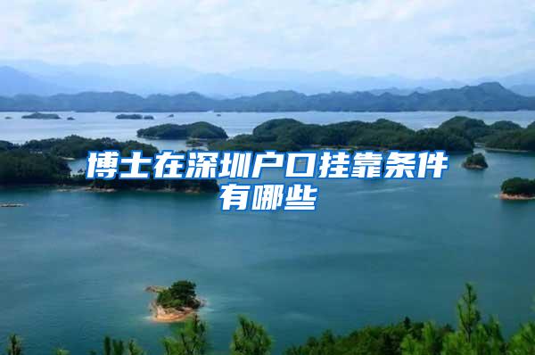 博士在深圳户口挂靠条件有哪些