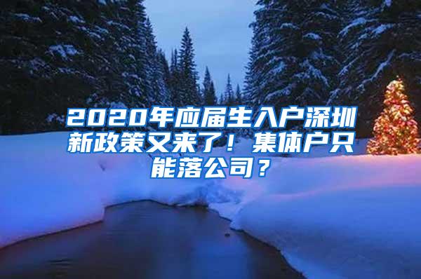 2020年应届生入户深圳新政策又来了！集体户只能落公司？
