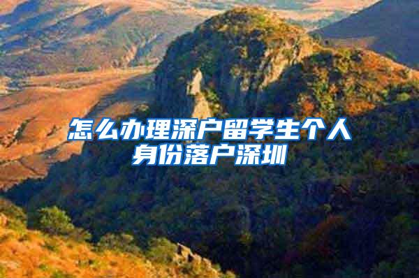 怎么办理深户留学生个人身份落户深圳