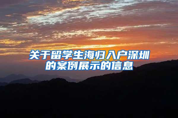 关于留学生海归入户深圳的案例展示的信息