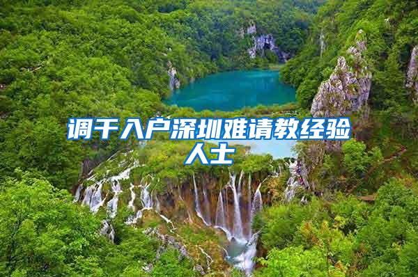 调干入户深圳难请教经验人士