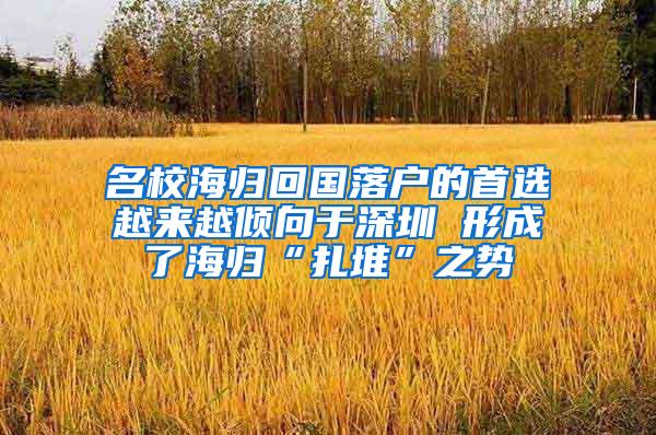 名校海归回国落户的首选越来越倾向于深圳 形成了海归“扎堆”之势