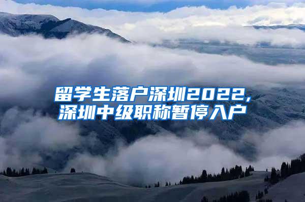 留学生落户深圳2022,深圳中级职称暂停入户