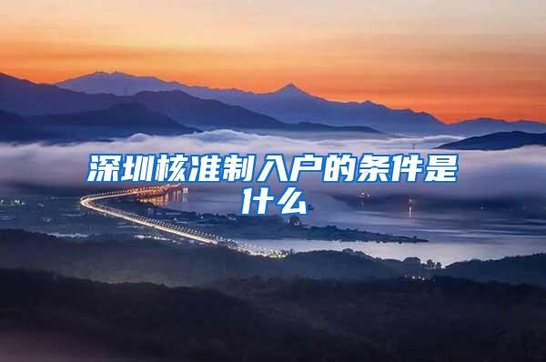 深圳核准制入户的条件是什么