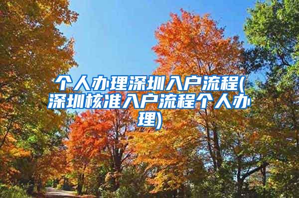 个人办理深圳入户流程(深圳核准入户流程个人办理)