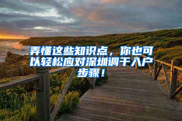 弄懂这些知识点，你也可以轻松应对深圳调干入户步骤！