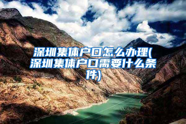 深圳集体户口怎么办理(深圳集体户口需要什么条件)