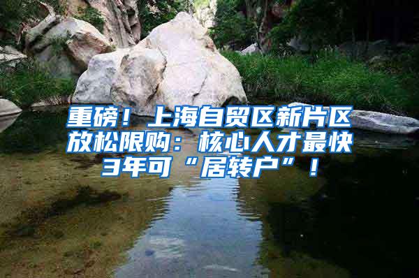 重磅！上海自贸区新片区放松限购：核心人才最快3年可“居转户”！