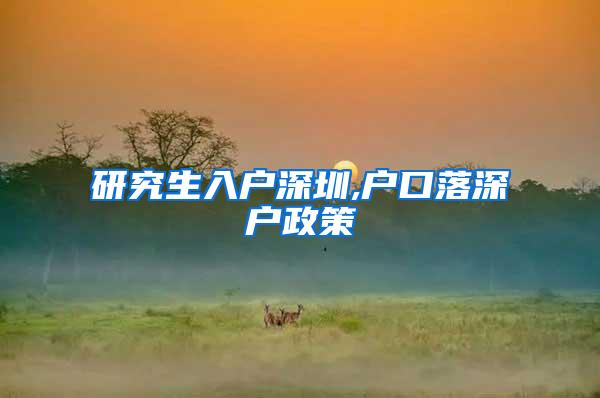 研究生入户深圳,户口落深户政策