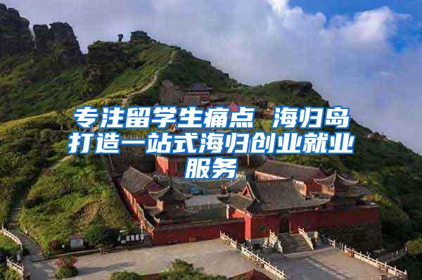 专注留学生痛点 海归岛打造一站式海归创业就业服务