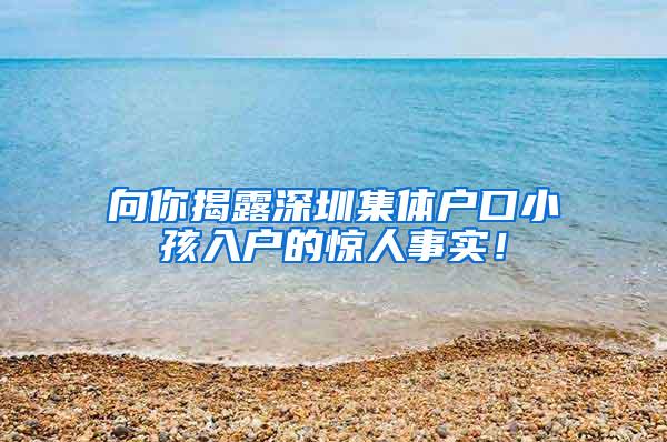 向你揭露深圳集体户口小孩入户的惊人事实！