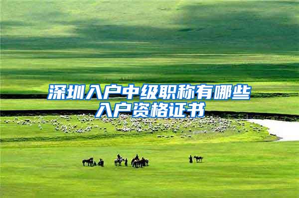 深圳入户中级职称有哪些入户资格证书