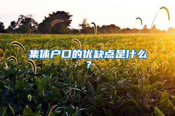 集体户口的优缺点是什么？