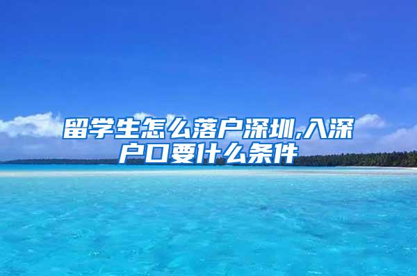 留学生怎么落户深圳,入深户口要什么条件