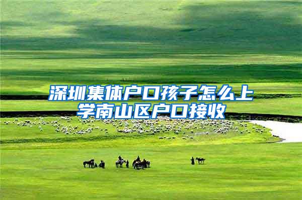 深圳集体户口孩子怎么上学南山区户口接收