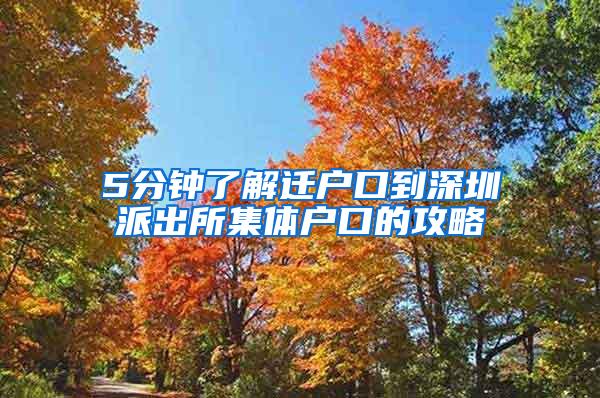 5分钟了解迁户口到深圳派出所集体户口的攻略