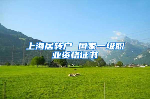 上海居转户 国家一级职业资格证书