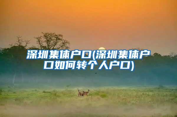 深圳集体户口(深圳集体户口如何转个人户口)
