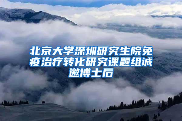 北京大学深圳研究生院免疫治疗转化研究课题组诚邀博士后