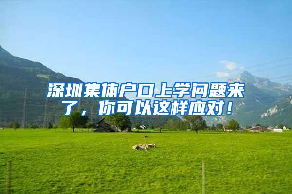 深圳集体户口上学问题来了，你可以这样应对！