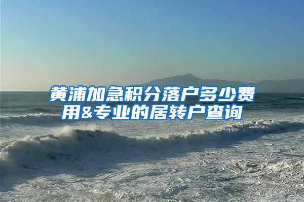 黄浦加急积分落户多少费用&专业的居转户查询