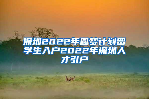 深圳2022年圆梦计划留学生入户2022年深圳人才引户