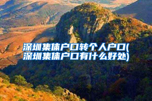 深圳集体户口转个人户口(深圳集体户口有什么好处)