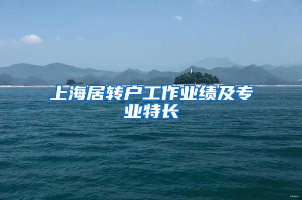 上海居转户工作业绩及专业特长