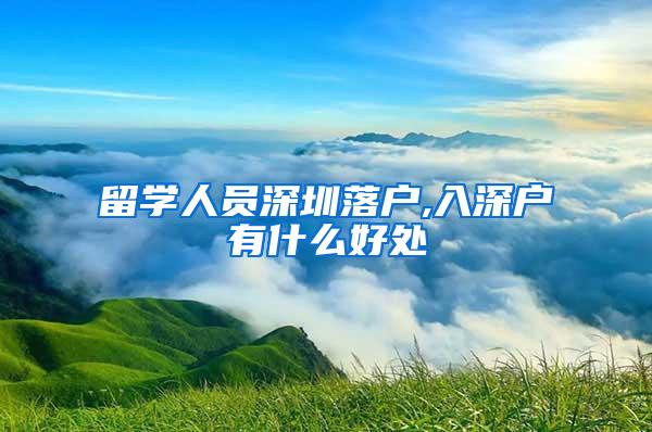 留学人员深圳落户,入深户有什么好处