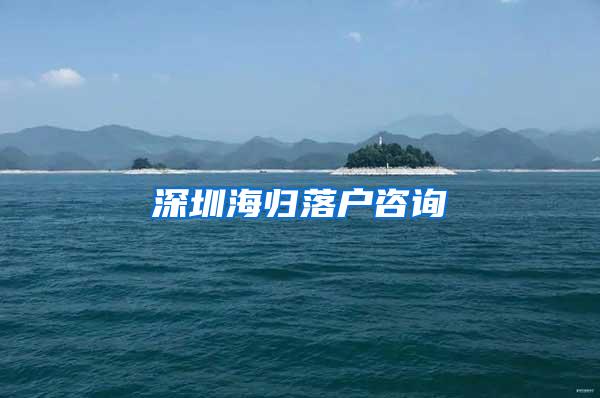 深圳海归落户咨询