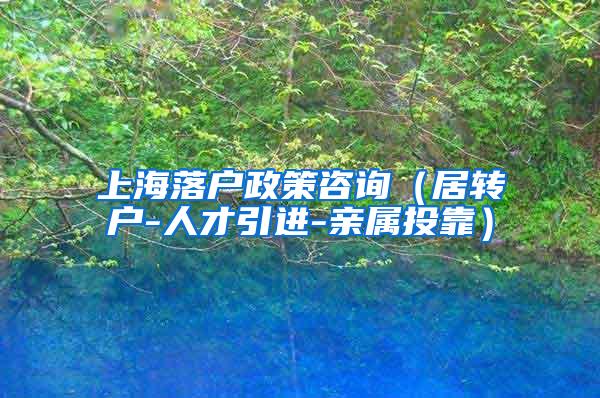 上海落户政策咨询（居转户-人才引进-亲属投靠）