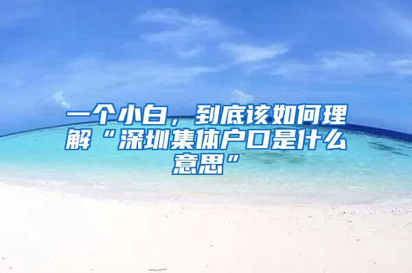 一个小白，到底该如何理解“深圳集体户口是什么意思”