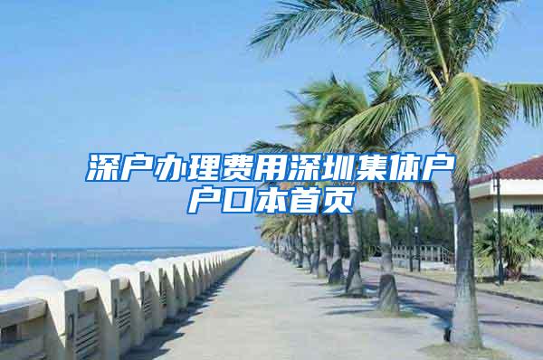 深户办理费用深圳集体户户口本首页