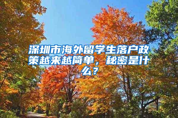 深圳市海外留学生落户政策越来越简单，秘密是什么？