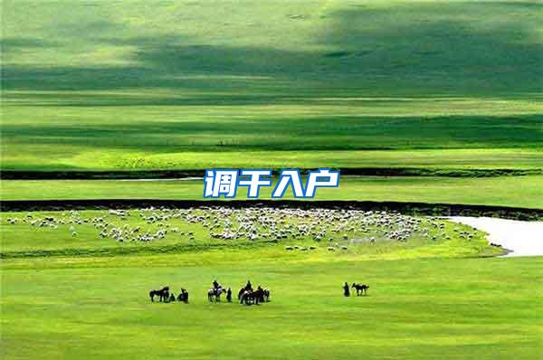 调干入户