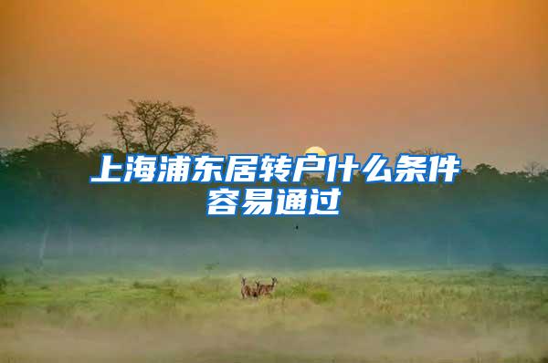 上海浦东居转户什么条件容易通过
