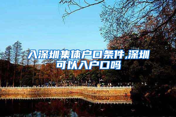 入深圳集体户口条件,深圳可以入户口吗