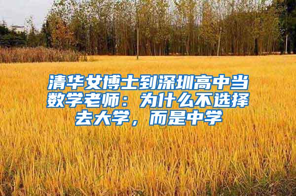清华女博士到深圳高中当数学老师：为什么不选择去大学，而是中学
