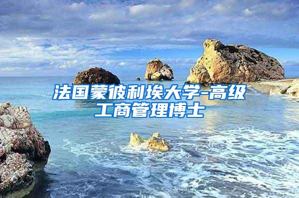 法国蒙彼利埃大学-高级工商管理博士