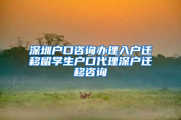 深圳户口咨询办理入户迁移留学生户口代理深户迁移咨询