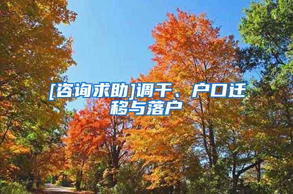 [咨询求助]调干、户口迁移与落户