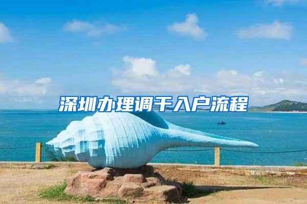 深圳办理调干入户流程