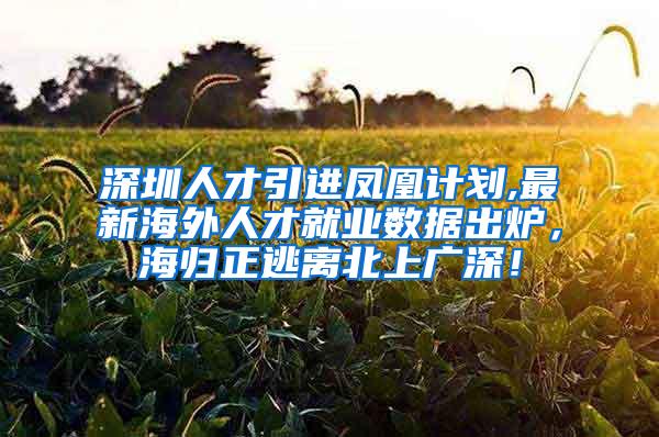 深圳人才引进凤凰计划,最新海外人才就业数据出炉，海归正逃离北上广深！